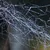 Harvestman