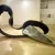Three British Sculptors Richard Deacon Julian Opie Richard Wentworth