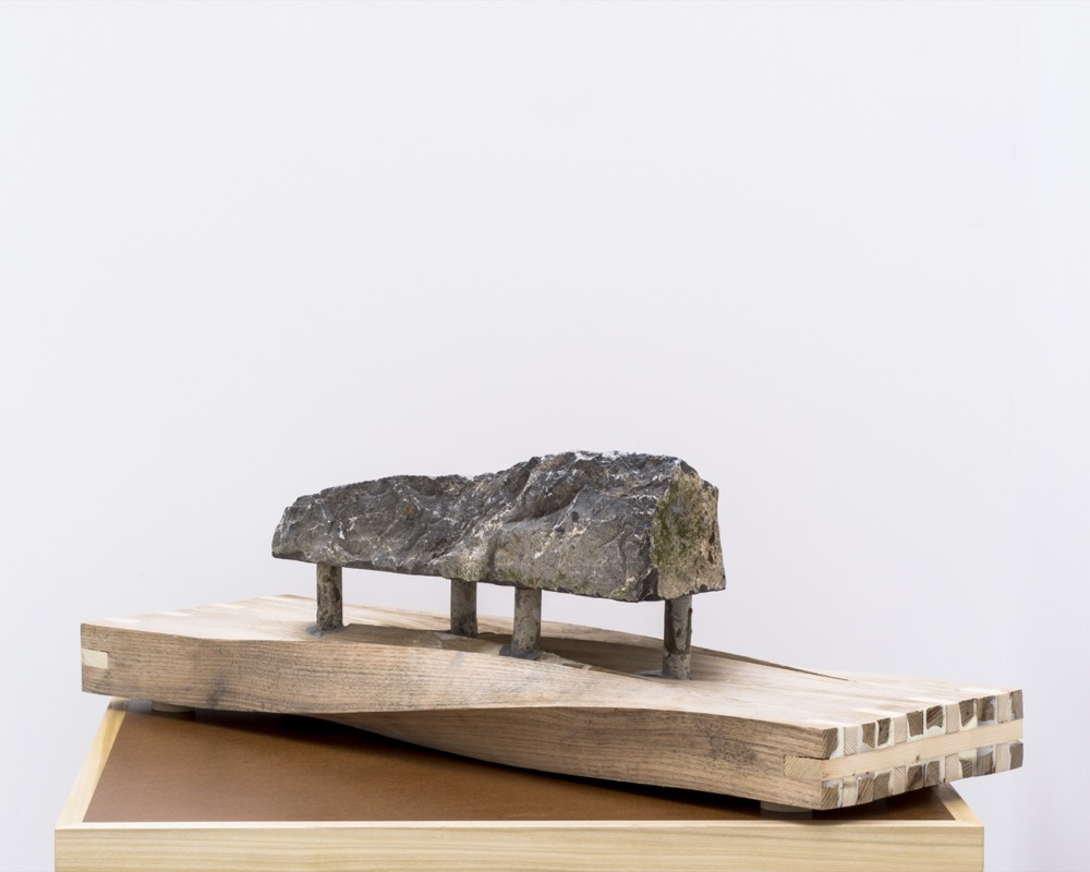 Plymouth Rock #6