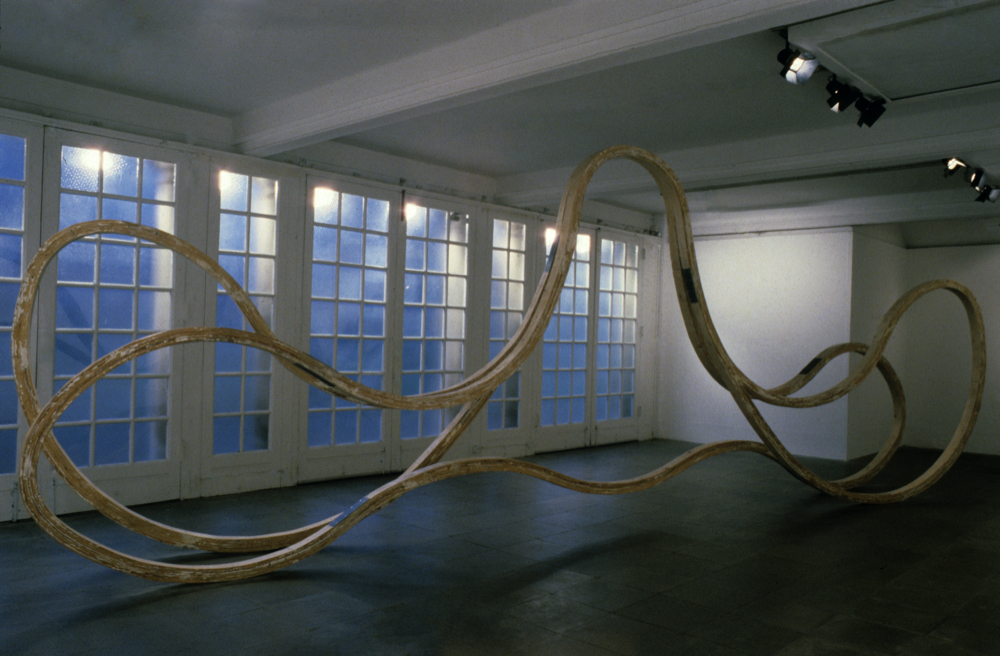 Richard Deacon: Blind, Deaf and Dumb: an installation in collaboration with Richard Rogers and John Tchalenko