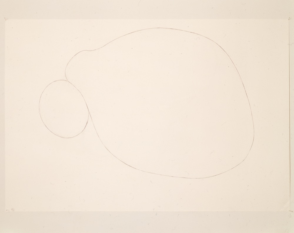 Untitled Drawing #3